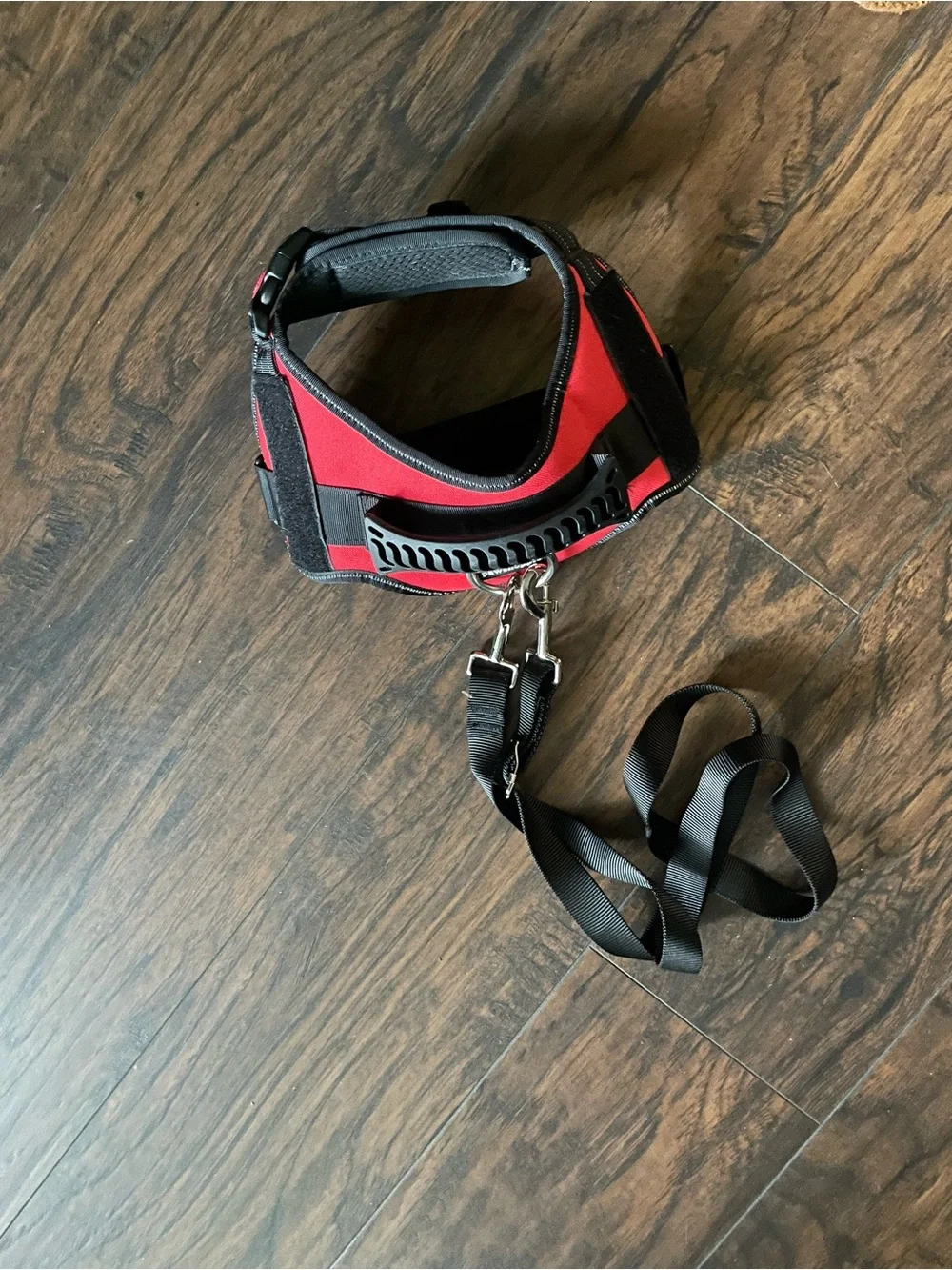 Red and Black Padded No-Pull Dog Harness with Leash